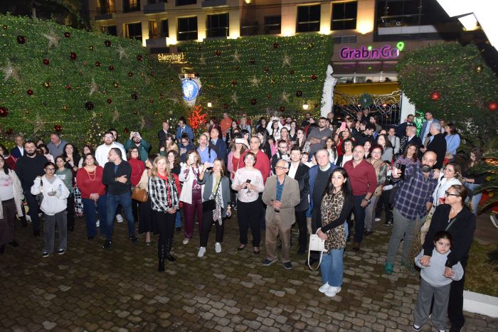 Under the Christmas Spell